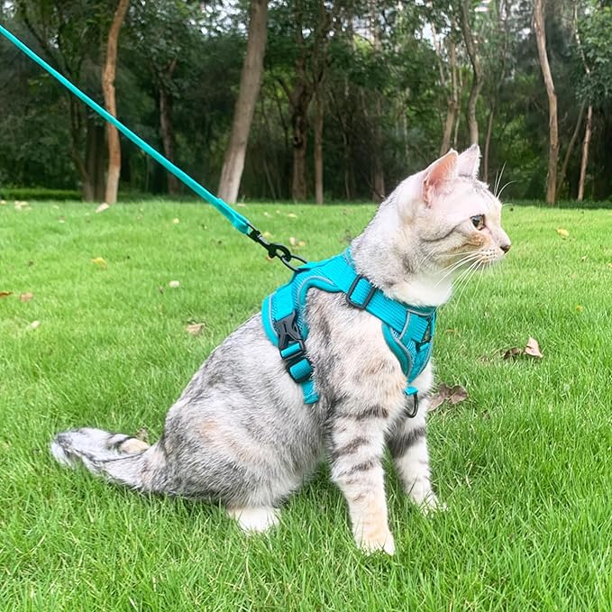 Cat Harness and Leash Set Escape Proof Tactical Small Kitten Harness Emotional Support Cat Vest, Turquoise, S