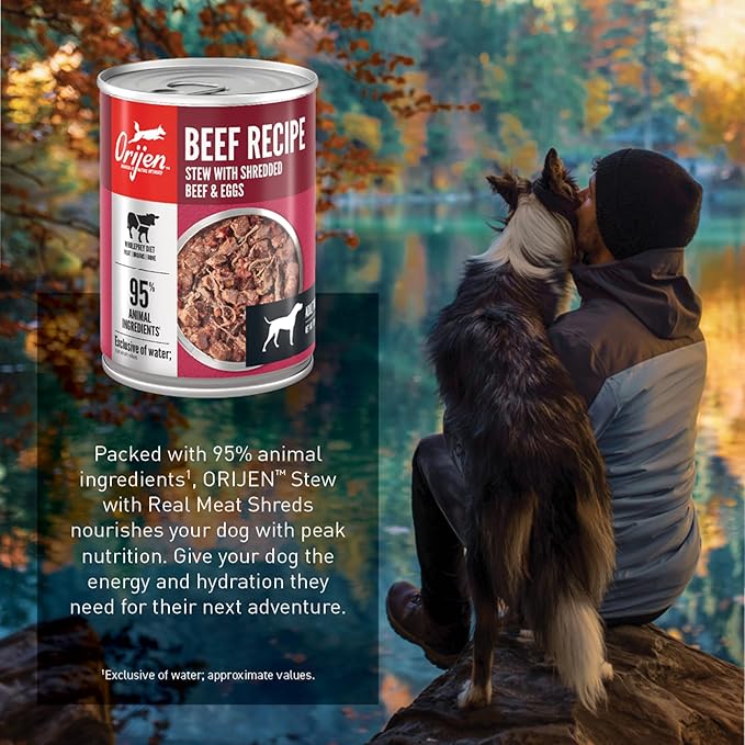 ORIJEN Real Meat Shreds Wet Dog Food Beef Stew Recipe 12.8oz Cans (12 Count)