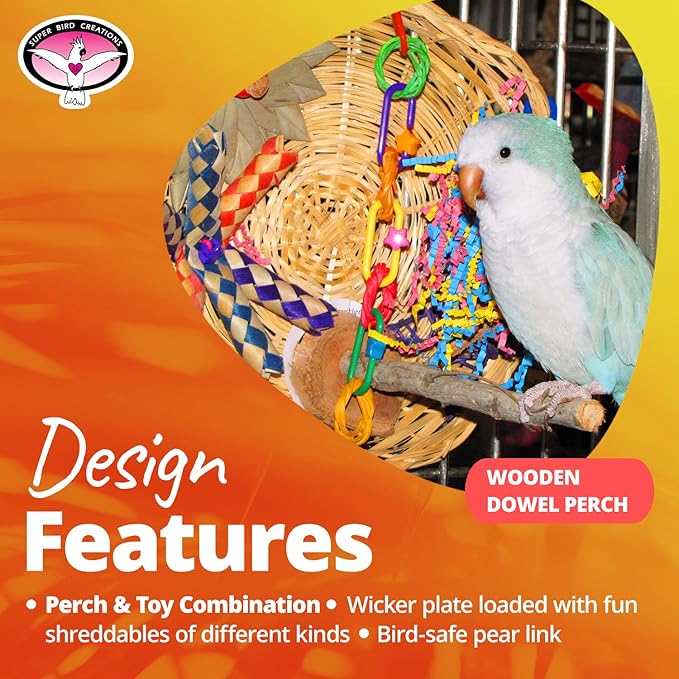 Super Bird Creations SB543 Busy Birdie Play Perch - Foraging Bird Toy, Small & Medium Bird Size - Parakeets, Cockatiels, Small Conures - Interactive Elements - Stimulating Playtime - 9.5" x 9.5" x 6"