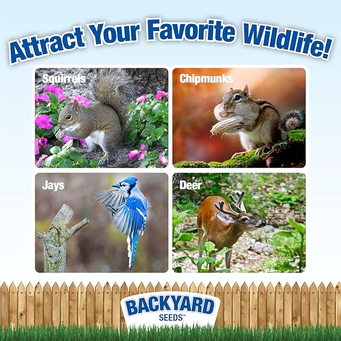 CountryMax Backyard Seeds Squirrel and Friends Wildlife Feed – Non-GMO Mix for Squirrels, Deer, Birds, Rabbits, Chipmunks & More – All-Natural Backyard Animal Food (40 Pounds)