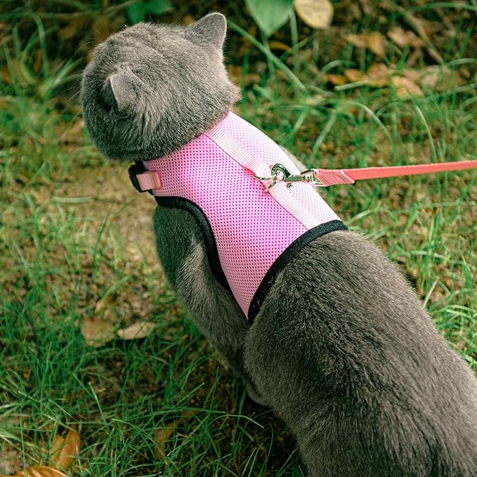 PUPTECK Soft Mesh Cat Vest Harness and Leash Set Puppy Padded Pet Harnesses Escape Proof for Cats Small Dogs, Pink Medium