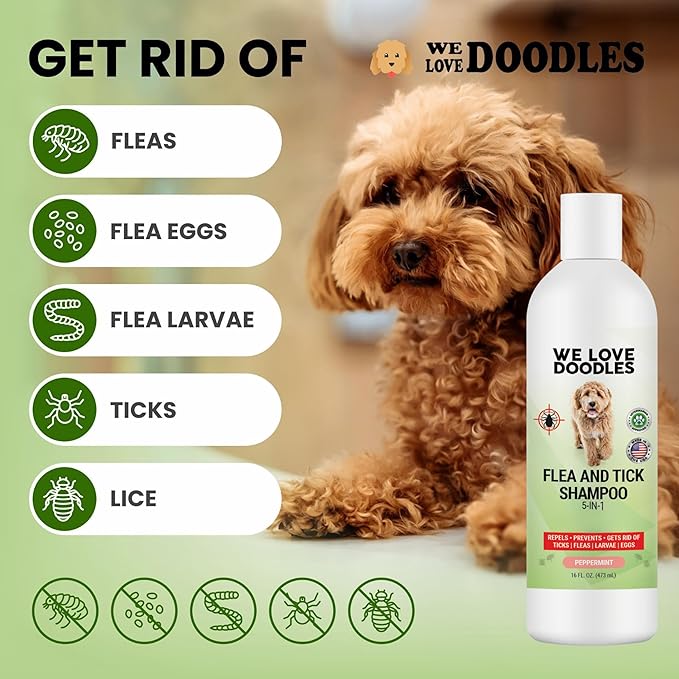 We Love Doodles Flea Shampoo for Dogs - Stops Fleas & Ticks for Dogs, Natural, Safe & Effective Lice Treatment, Soothing Shampoo for Sensitive Skin, Made in USA, 16 oz