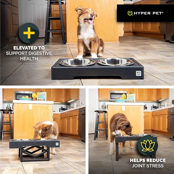 Hyper Pet Elevated Dog Bowls Large Breed, Adjustable Raised Dog Bowls Large Sized Food and Water Feeder - Stainless Steel