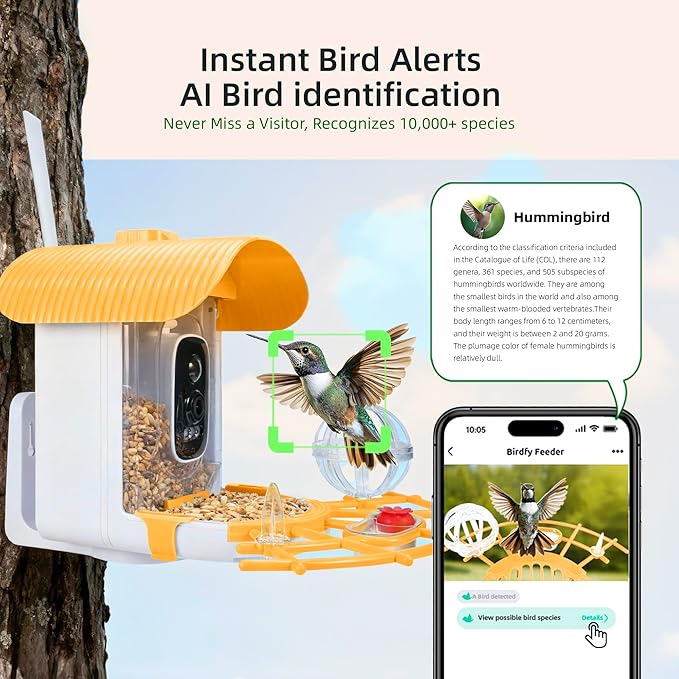 Bird Feeder with Camera, Smart Bird Cam with AI Identify BirdSpecies, Auto Record BirdVideo, Instant Notifications, 2K Video Live Stream Camera with Solar Panel for Birds Lover