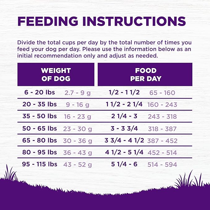 Wellness Complete Health Sensitive Skin & Stomach Dry Dog Food, Wholesome Grains, Natural, Salmon & Rice Recipe, (5-Pound Bag)