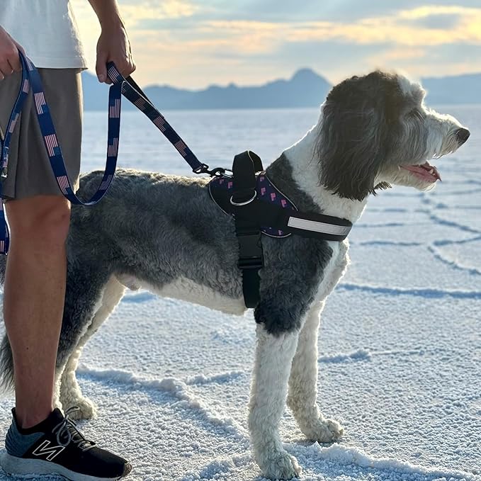 ShawnCo Essential Dog Harness, No-Pull Pet Vest with 3 Leash Clips, No Choke, Reflective, Adjustable and Padded, for Easy Walking and Training for Small, Medium and Large Dogs (USA Flag,XS)