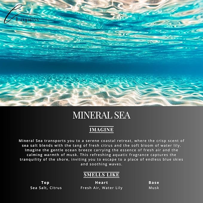 Mineral Sea Carpet Freshener Powder: Powerful Odor Eliminator for Home, Upholstery Deodorizer, Carpet Deodorizer, Pet Urine, Cat Litter Box - Mineral Sea Fragrance