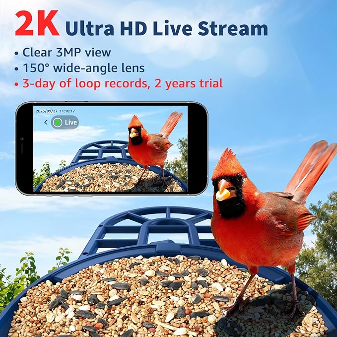 PeckCam® Bird Feeder with Camera with AI Identify 10000+ Birds Species, 3 Solar Panels, 2K Live View, Instant Arrival Alerts, Smart Bird House with Cam, Gift for Bird Lovers