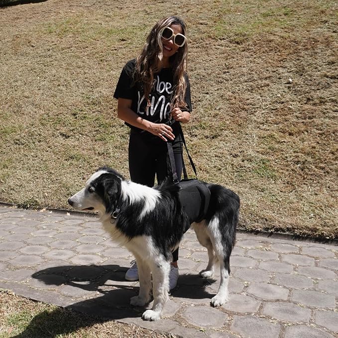 AGON Canine Dog Sling Carrier Support Back Legs Hip Knee Hock Joint Harness to Help Lift Dogs Rear Aid and Old K9 Cruciate (Large, Black)