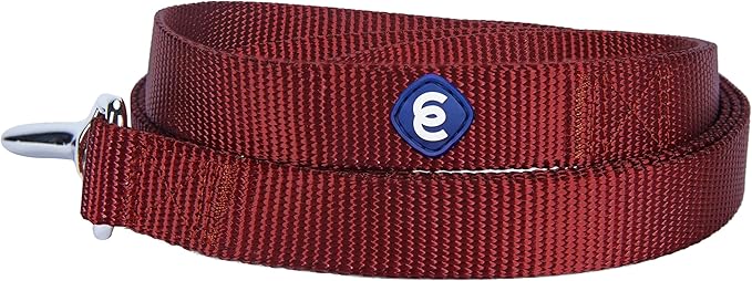Blueberry Pet Essentials Fired Brick Dog Leash for Large - 4' * 1" Dogs | Heavy Duty Nylon Lead | Lightweight Puppy & Cat Leash for Walking & Training