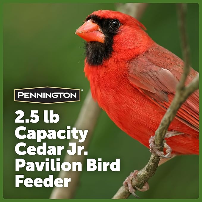 Pennington 100521909 Jr Pavilion Bird Feeder, 2.5 lb, Aromatic Eastern Red Cedar