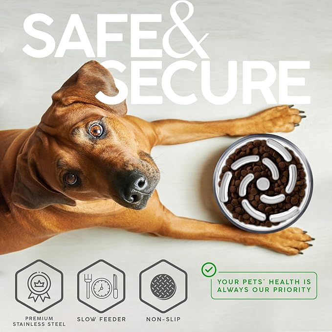 32 Oz Dog Bowl with Slow Feeder Insert Stainless Steel Pet Water Bowl for Medium & Large Breed Non Slip Rubber Base & Plastic Puzzle Feeder - White Marble