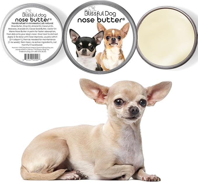 The Blissful Dog Smooth Coat Chihuahua Nose Butter for Dry, Cracked Skin, Lick-Safe Dog Nose Balm with Moisturizing Shea Butter, Almond, Olive, and Essential Oils, Pet Supplies, Uncented, 2 oz.