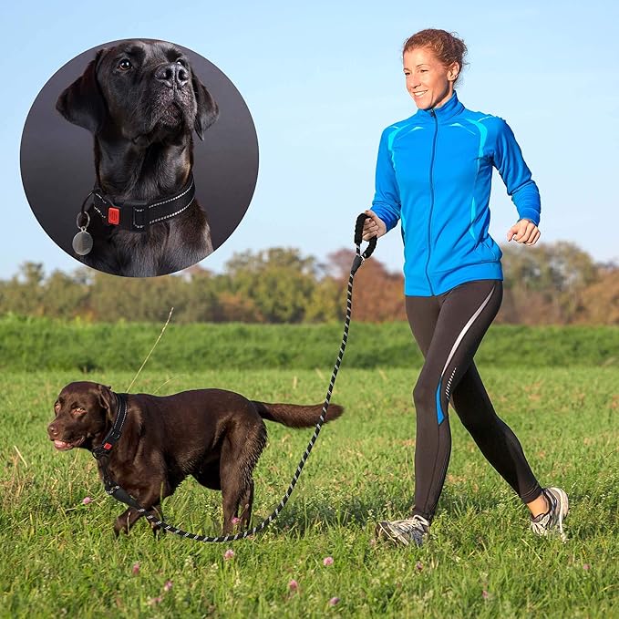 Heavy Duty Dog Leash - Comfortable Padded Handle, 5 ft Long - Dog Leashes for Small Medium Large Dogs (Leash+Collar M Neck 16"-20", Black)