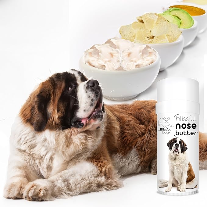 The Blissful Dog Saint Bernard Unscented Nose Butter - Dog Nose Butter, 2 Ounce