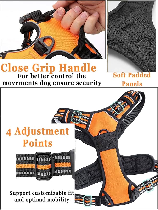 Personalized Custom No Pull Dog Harness Leash Set with Name Phone Number-Heavy Duty Reflective Soft Padded Dog Vest Harness with Easy Control Handle for Small Medium Large Dog-2 Leash Attachments