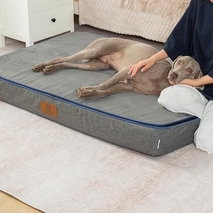 Orthopedic Memory Foam Giant Dog Bed - 6" Thick Beds for Large Sized Dog - Waterproof Removable Washable Cover & Wrap-Around Zipper - Ultimate Comfort & Easy Maintenance, Dark Grey
