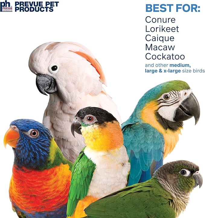 Prevue Pet Products 60062671: Jellyfish Bird Toy