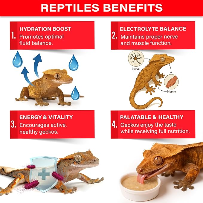 'Picky Geck' Watermelon Crush - Premium Crested Gecko Food | Hydration & Circulation Support with Bee Pollen & Coconut | No Fillers - Only Premium Ingredients | 2oz | Made in USA. Enjoy!