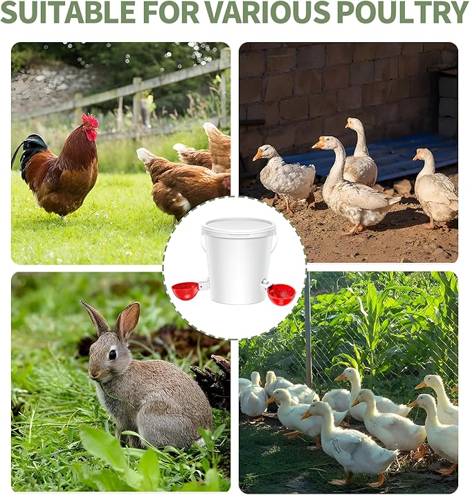 5PCS Chicken Waterer Cups, Red Automatic Poultry Watering Cups, Tee Fittings Poultry Waterer with Mounting Hole Opener,Ideal for Chicken Coop, Ducks, and Backyard Poultry