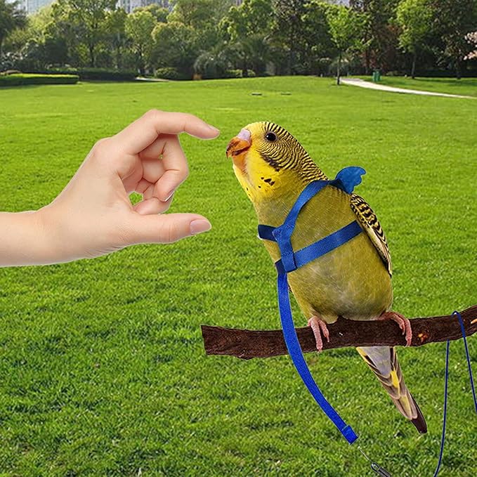 Dnoifne Parrot Harness and Leash, Adjustable Training Design Anti-Bite, Nylon Rope with Cute Wing for Parrots, Suitable for Alexandrine, Scarlet, Keck, Mini Macaw & Same Size Bird (Blue)
