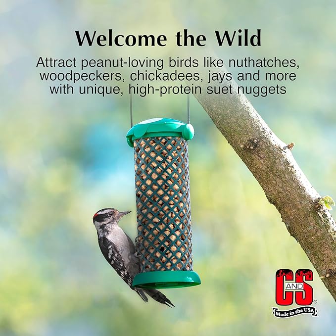 C&S Peanut Suet Nuggets, Outdoor Wild Bird Food for Nuthatches, Woodpeckers and Chickadees, 27 Ounces