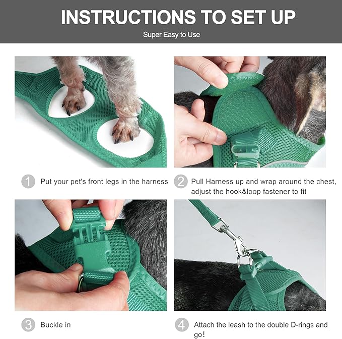 Fida Cat Harness and Leash Set for Walking Kitten and Puppy, Escape Proof Kitten Harness with Breathable Lightweight Soft Mesh, Adjustable Reflective Step-in Design. (XXS, Green)