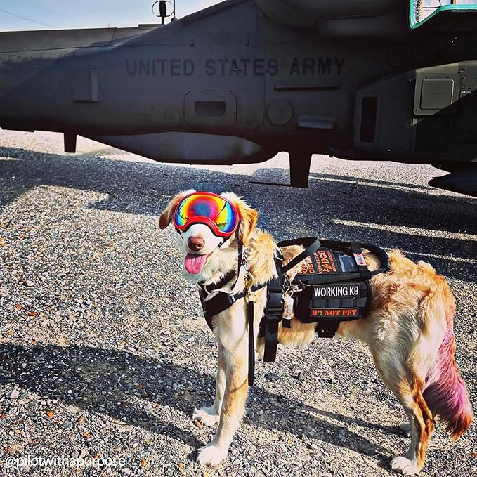 OneTigris Service Dog Vest Harness, Service Dog Cape Guardian Dog Backpack Harness with Pouches Dog Saddle Bag for Small Medium and Large Dogs (Black, Large)