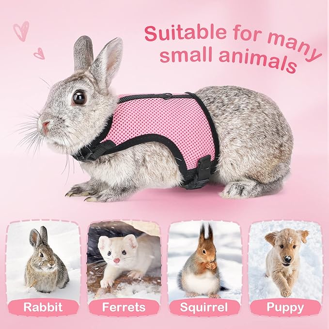 PETTOM Bunny Rabbit Harness with Stretchy Leash Cute Adjustable Buckle Breathable Mesh Vest for Kitten Small Pets Walking (Pink,XS)