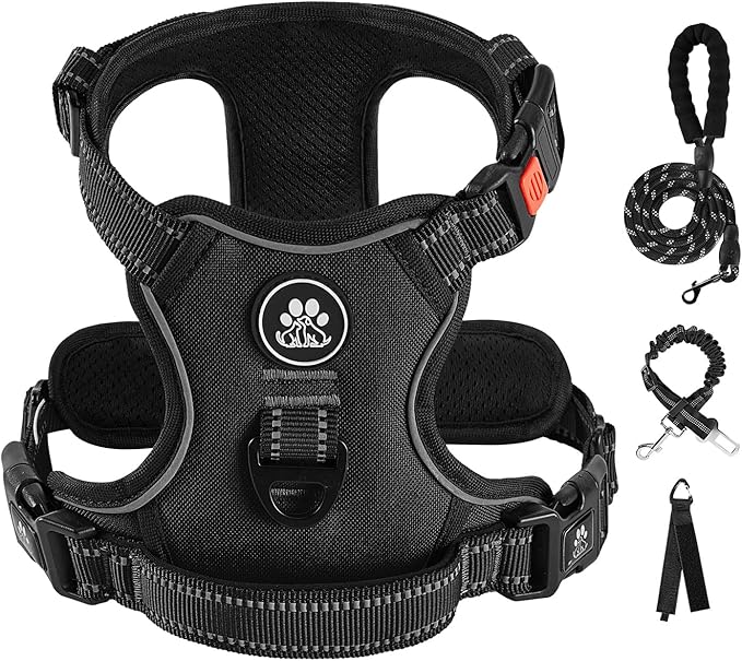 IVY&LANE No Pull Dog Harness for Small Dogs, Dog Vest Harness with Leash, Safety Belt and Storage Strap, Fully Adjustable Harness, 360° Reflective Strip, Soft Handle (Black, S)