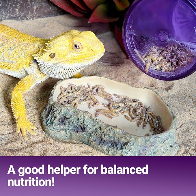 Cricket Calcium Powder Mixer, Reptile Cricket Keeper, Reptile Calcium Duster for Bearded Dragon Gecko Lizard Snake Chameleon (Purple)