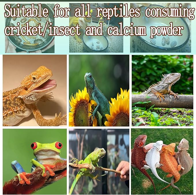 Reptile Cricket Calcium Mixer，Calcium Reptile Nutrients Shaker Bottle ， for Bearded Dragon, Geckos, Lizards, Chameleon and Snakes.,Cricket Feeder