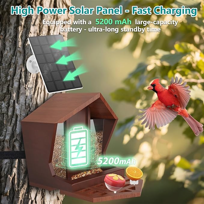 Smart Bird Feeder with Camera Solar Powered AI Identification 10,000+ Bird 2K UHD Video Live Instant Arrival Alerts and Real-Time Motion Detection Weatherproof Bamboo for Outdoor Birds Lovers