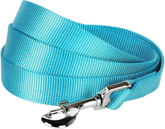 Blueberry Pet Essentials Turquoise Dog Leash for X-Small -5' * 3/8" Dogs | Heavy Duty Nylon Lead | Lightweight Puppy & Cat Leash for Walking & Training