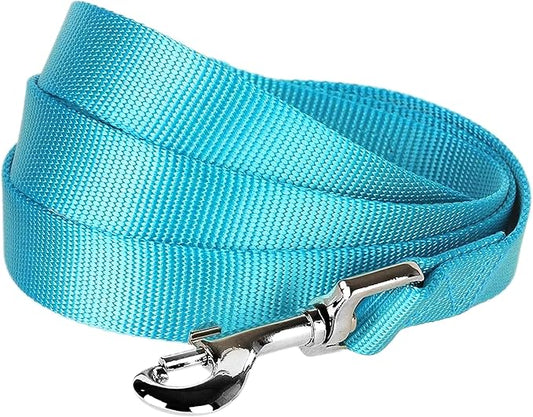 Blueberry Pet Essentials Turquoise Dog Leash for X-Small -5' * 3/8" Dogs | Heavy Duty Nylon Lead | Lightweight Puppy & Cat Leash for Walking & Training
