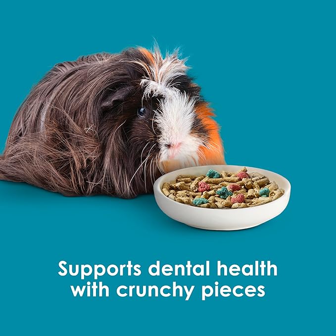 Kaytee Forti-Diet Pro Health Nourish+Protect Guinea Pig Food, Comprehensive Nutrition Backed by Science, Digestive Health, Immune Support, 8 pounds