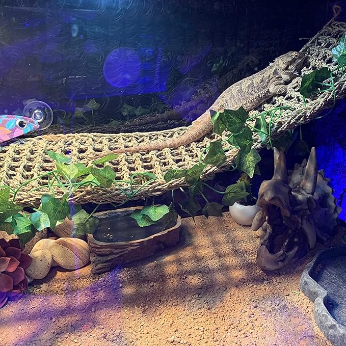 PINVNBY Reptile Dinosaur Skull Decor,Bearded Dragon Tank Accessories,Reptiles Resin Triceratops Skull Cave Lizard Hammock Amphibians Habitat Hideouts Decorations for Lizards Spider Gecko Chameleon