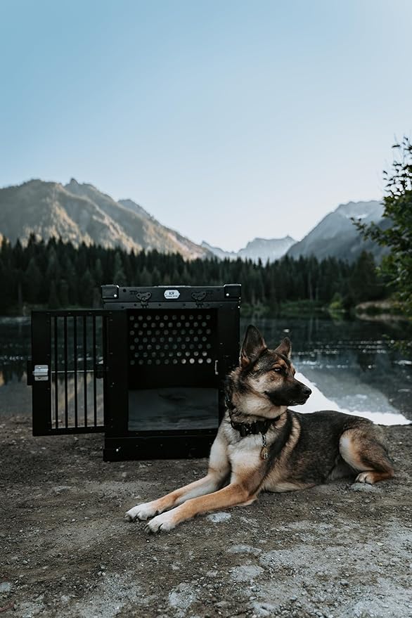 Heavy Duty Fully Collapsible Powder-Coated Aluminum Dog Crate - Medium (Black)