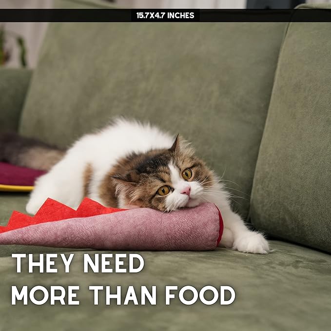 Large Cat Toy Dino, Catnip Matatabi Silvervine Filled Help Relief Stress Interactive Indoor Cat Kicker with Bell and Smell(Pink)