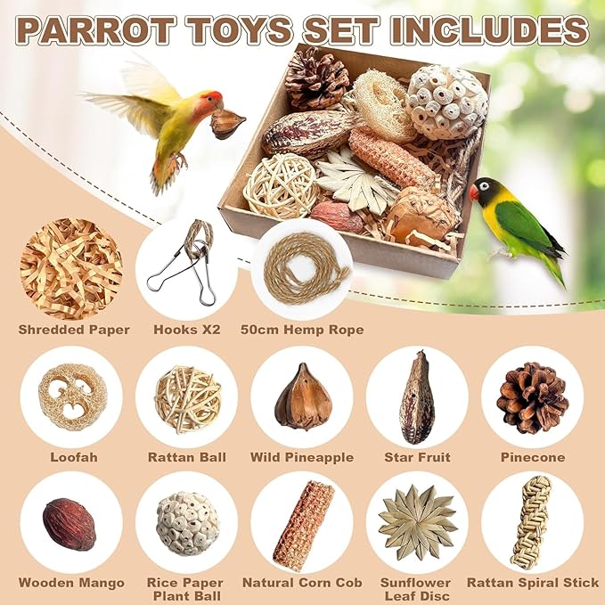 2 in 1 Parrot Toys, Tyotrbs Parakeet Foraging Box DIY Hanging String with Comes with 2 Hooks Bird Toy for Parakeets,Cockatiels,Conures,Love Birds Cage Accessories for Small to Medium Birds