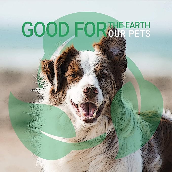 Green Groom White Dog Shampoo, 1 Gallon - All Natural Ingredients, Chamomile Extract, Infused with Coconut Oil and Protein, Soap and Cruelty Free, Restores Coat's Natural Shade