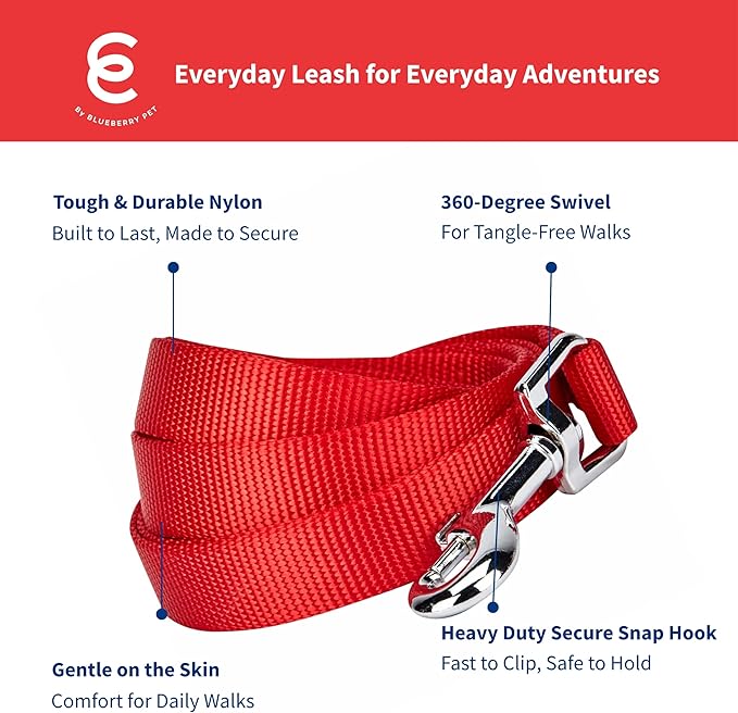 Blueberry Pet Essentials Rouge Red Dog Leash for Medium - 5' * 3/4" Dogs | Heavy Duty Nylon Lead | Lightweight Puppy & Cat Leash for Walking & Training