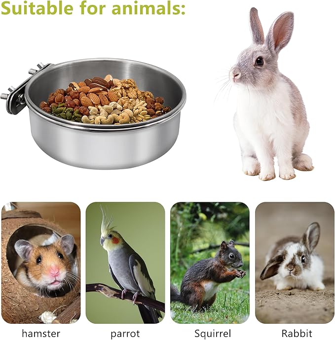 2 Pcs Medium Bird Feeding Dish Cups,Parrot Food Bowl Cage with Clamp Holder Stainless Steel,Birdcage Coop Water Feeder for Cockatiel Parakeet Macaw Finches Lovebirds Small Animals (2 Pack, M)