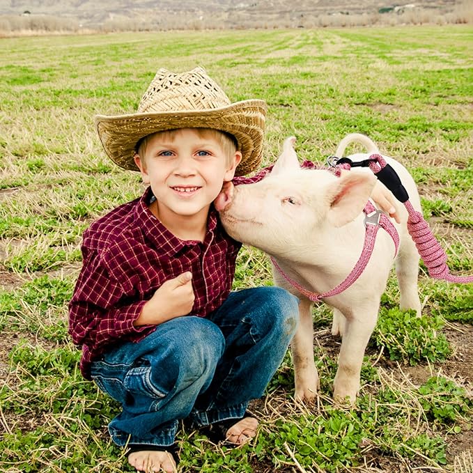 Mini Pig Harness, Adjustable Small Pig Harness with Leash Infinity Style Lead and Soft Foam Handle for Small to Medium Pet Pigs Walking Training Jogging (Pink, M)