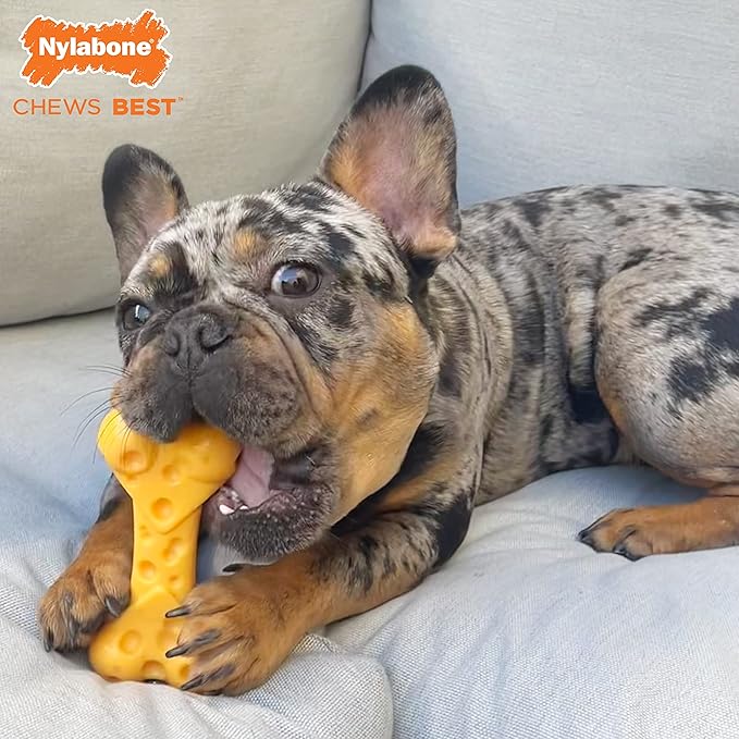 Nylabone Cheese Bone Power Chew Toy for Dogs, Cute Dog Toys for Aggressive Chewers, Cheese Flavor, X-Large Dogs - 50+ lbs, 1 Count