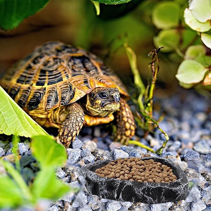 3 Pack Reptile Water Dish, Samll Snake Water Bowl, Leopard Crested Gecko Tank Accessories, Bearded Dragon Food Dish, Feeding Dish Kit for Tortoise, Lizard, Frog, Hermit Crab (3 Pack)