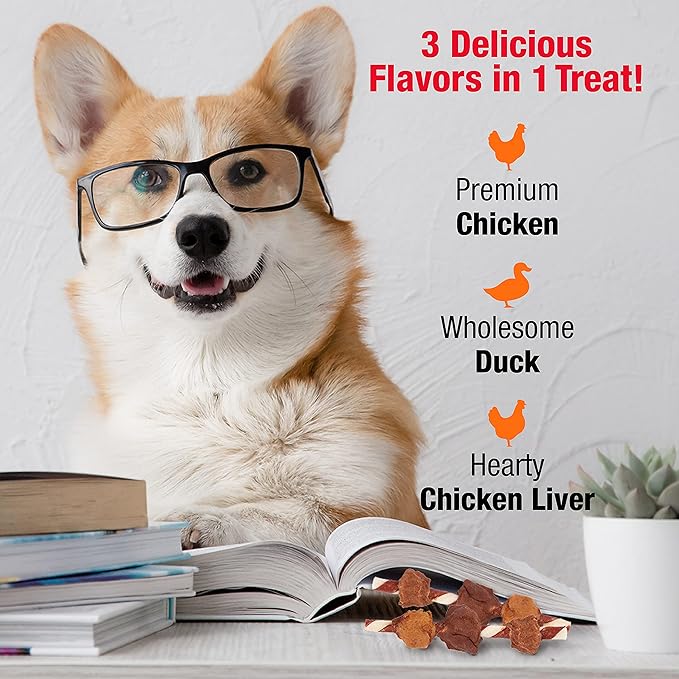 Good'n'Fun Triple Flavored Rawhide Kabobs for Dogs, 2 Pack, 4 oz