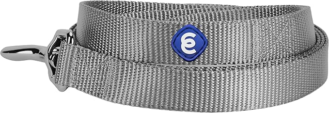 Blueberry Pet Essentials Flint Gray Dog Leash for Medium - 5' * 3/4" Dogs | Heavy Duty Nylon Lead | Lightweight Puppy & Cat Leash for Walking & Training