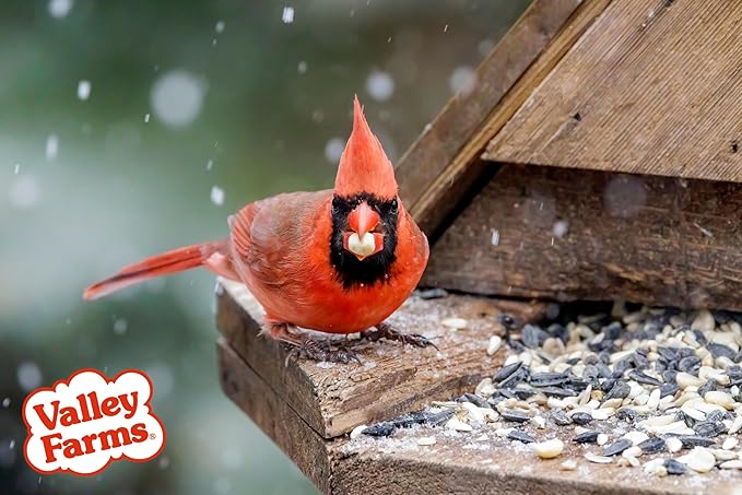 Valley Farms Fruit Nut & Berry 4 LB 2-Pack (8 LB Total) Wild Bird Food for Outside Feeders, Bird Seed with Dried Fruit, Peanuts Sunflower Hearts, Safflower High Energy Mix for Healthy Birds!