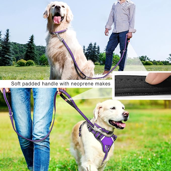 WINSEE Pet Harness Collar and Leash Set, All-in-one Reflective Dog Harness No Pull with Adjustable Buckles for Puppies, Small, Medium, Large, and Extra-Large Dogs (Small, Purple)